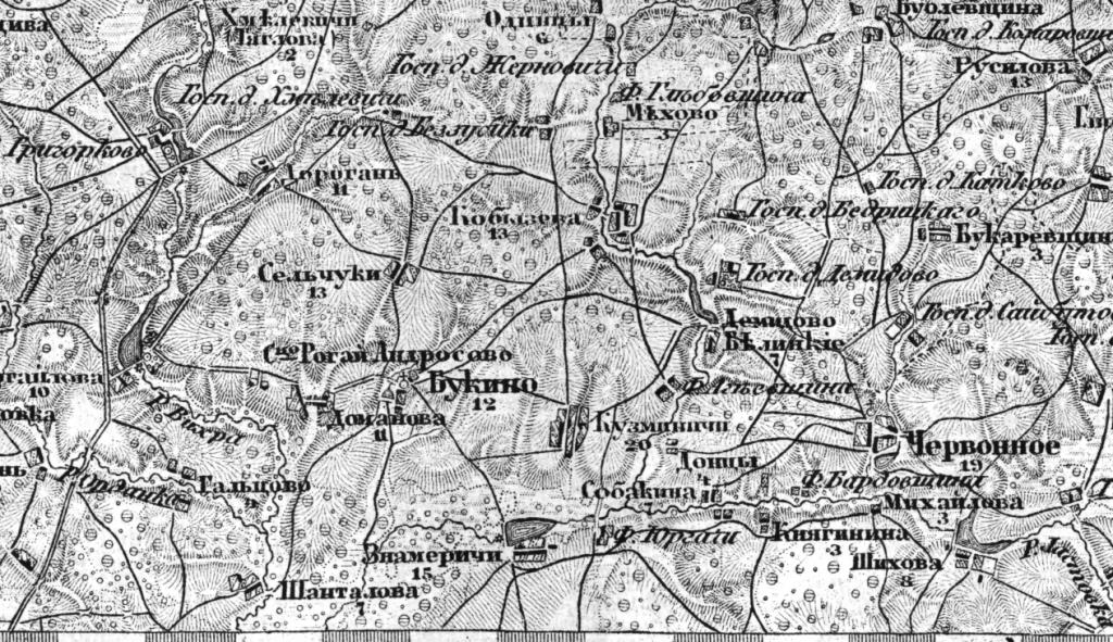 P13-l10 Букино - копия.jpg