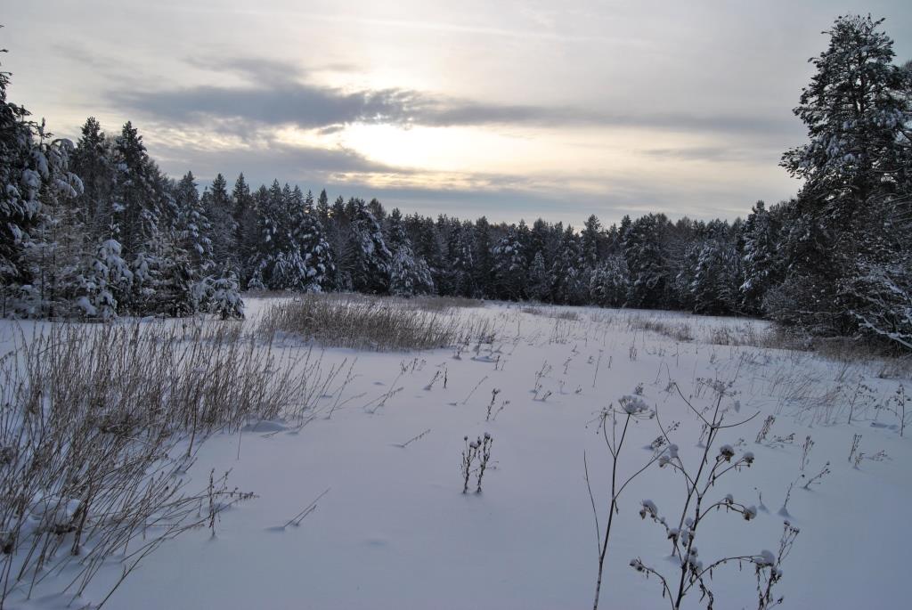 DSC_1320.JPG