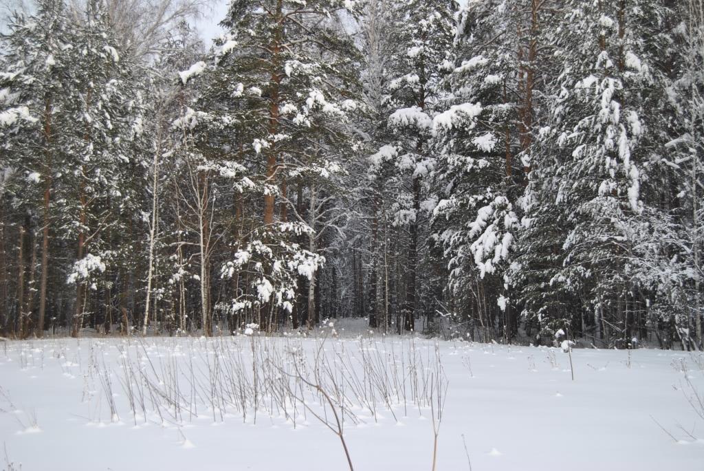 DSC_1321.JPG