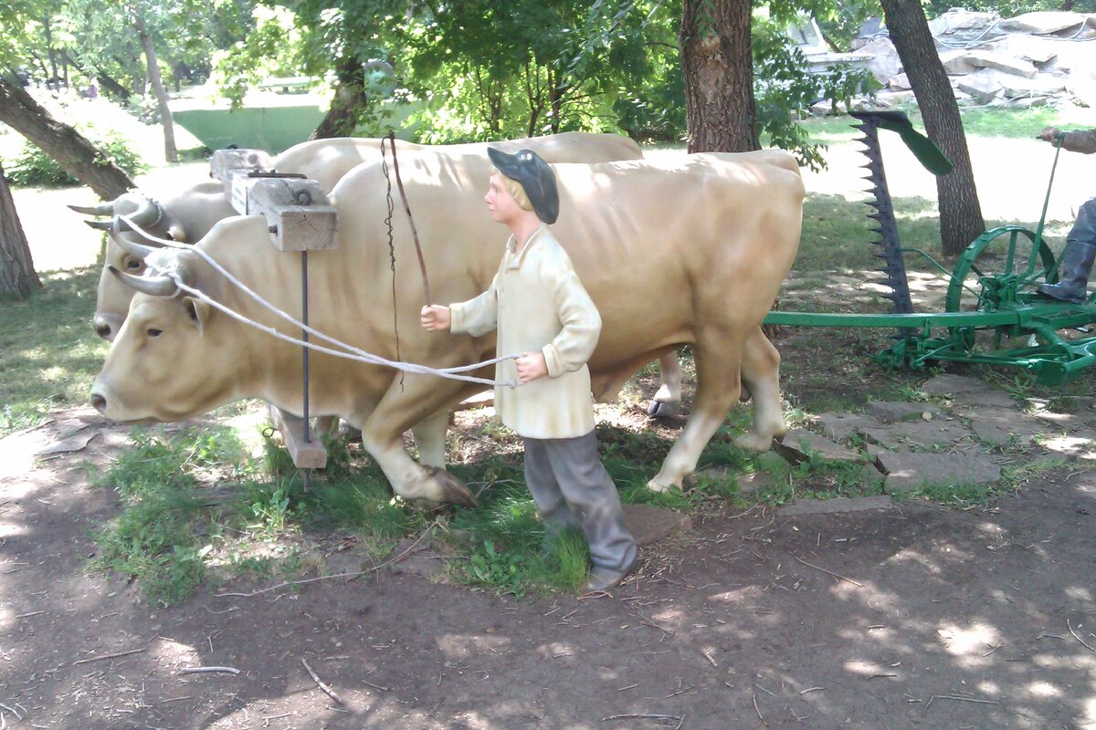 IMAG0010.jpg