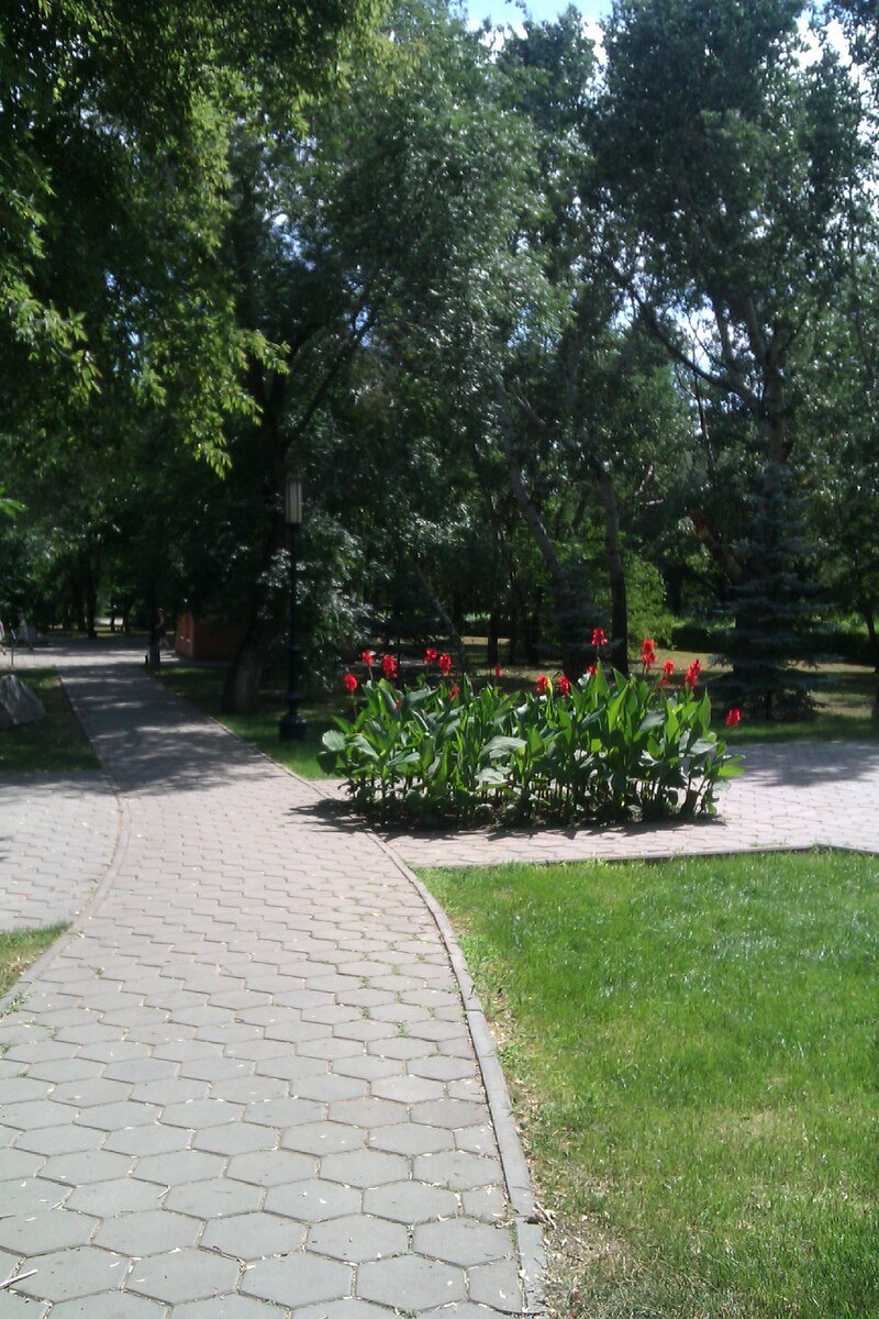 IMAG0031.jpg