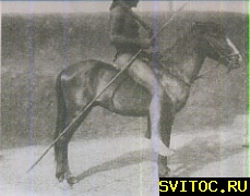 103205497.jpg