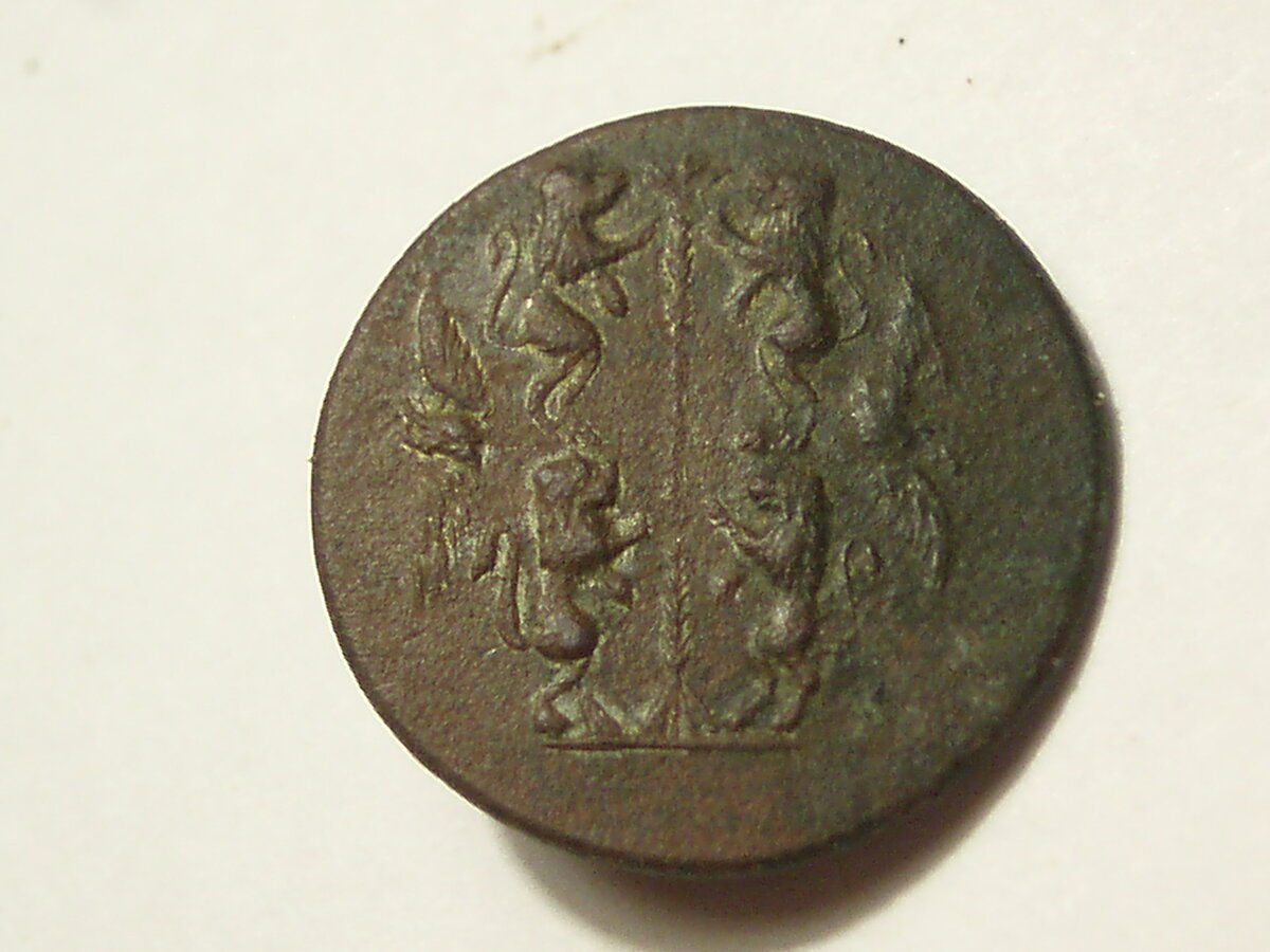 968555_005.jpg