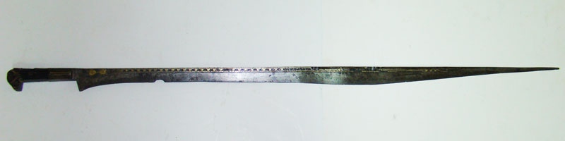 5039353.jpg