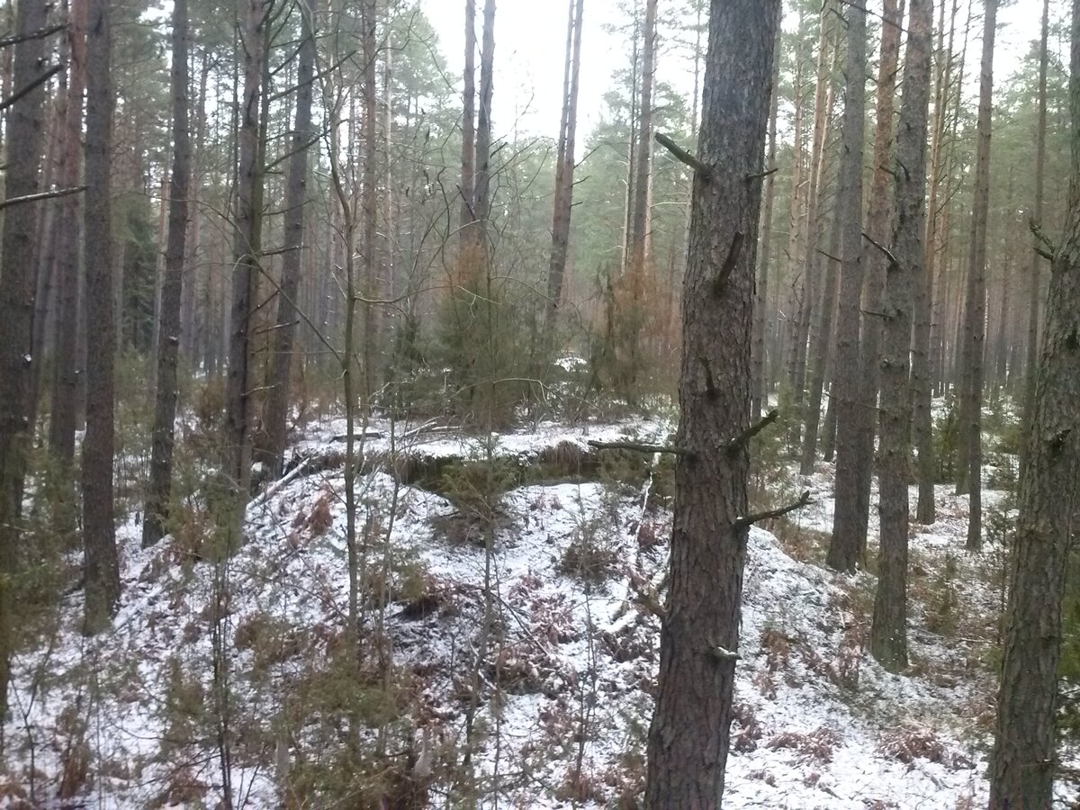 CAM02061.jpg