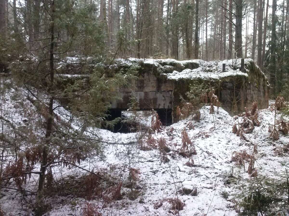 CAM02065.jpg
