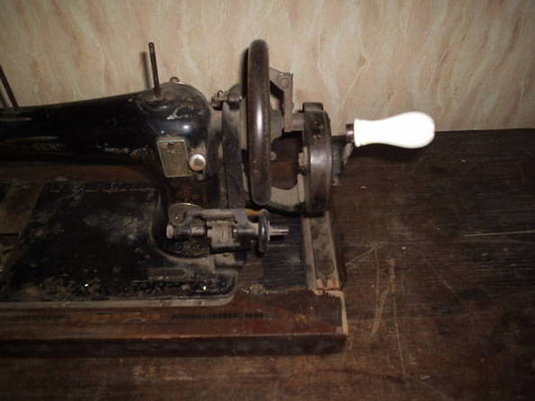 19398688.jpg