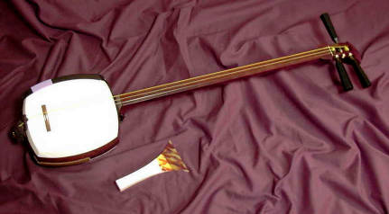 shami-1.jpg