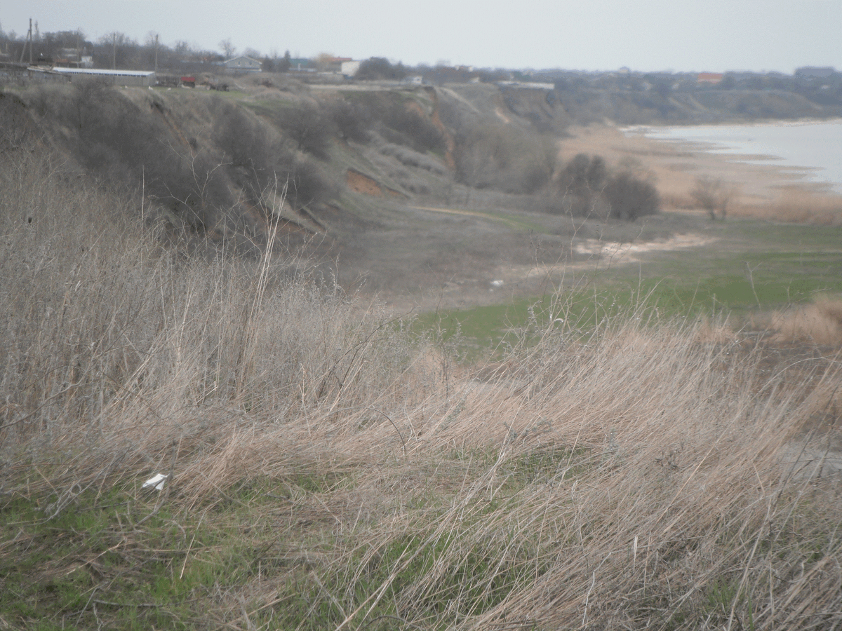 DSCF2235.gif