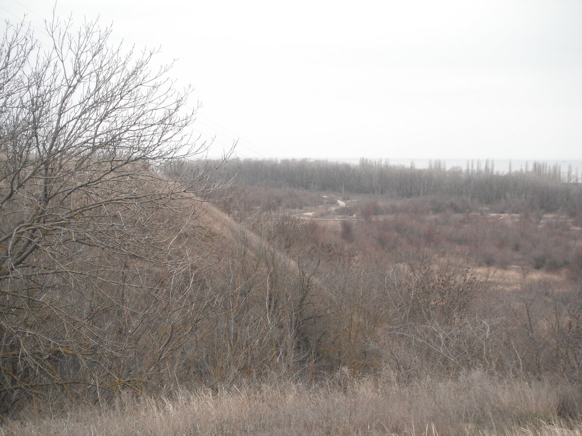 DSCF2244.jpg