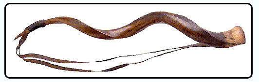 1290859893_african_horn.jpg