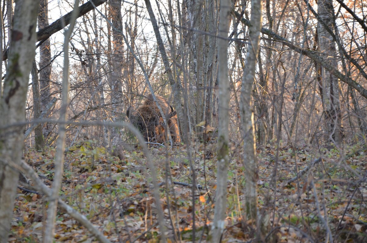 DSC_5186.JPG