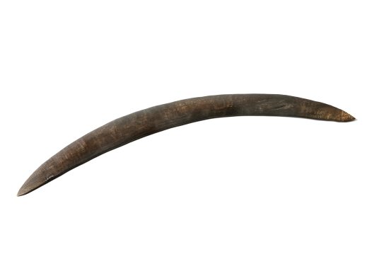 ie077013-02_big.jpg