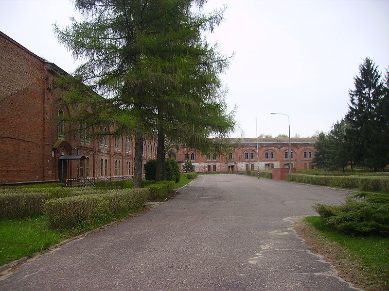 pic2.jpg