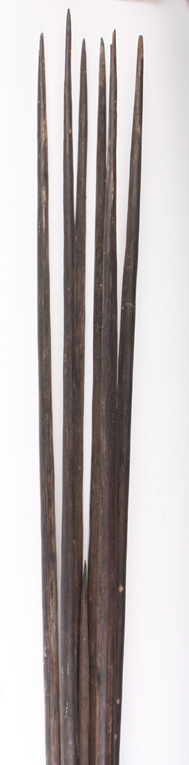 solomonfishspear.jpg