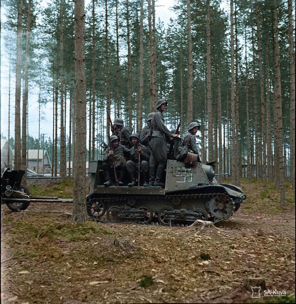 wg3IcbdwOxU.jpg