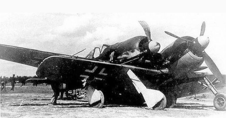 найъ-ФВ-190.JPG