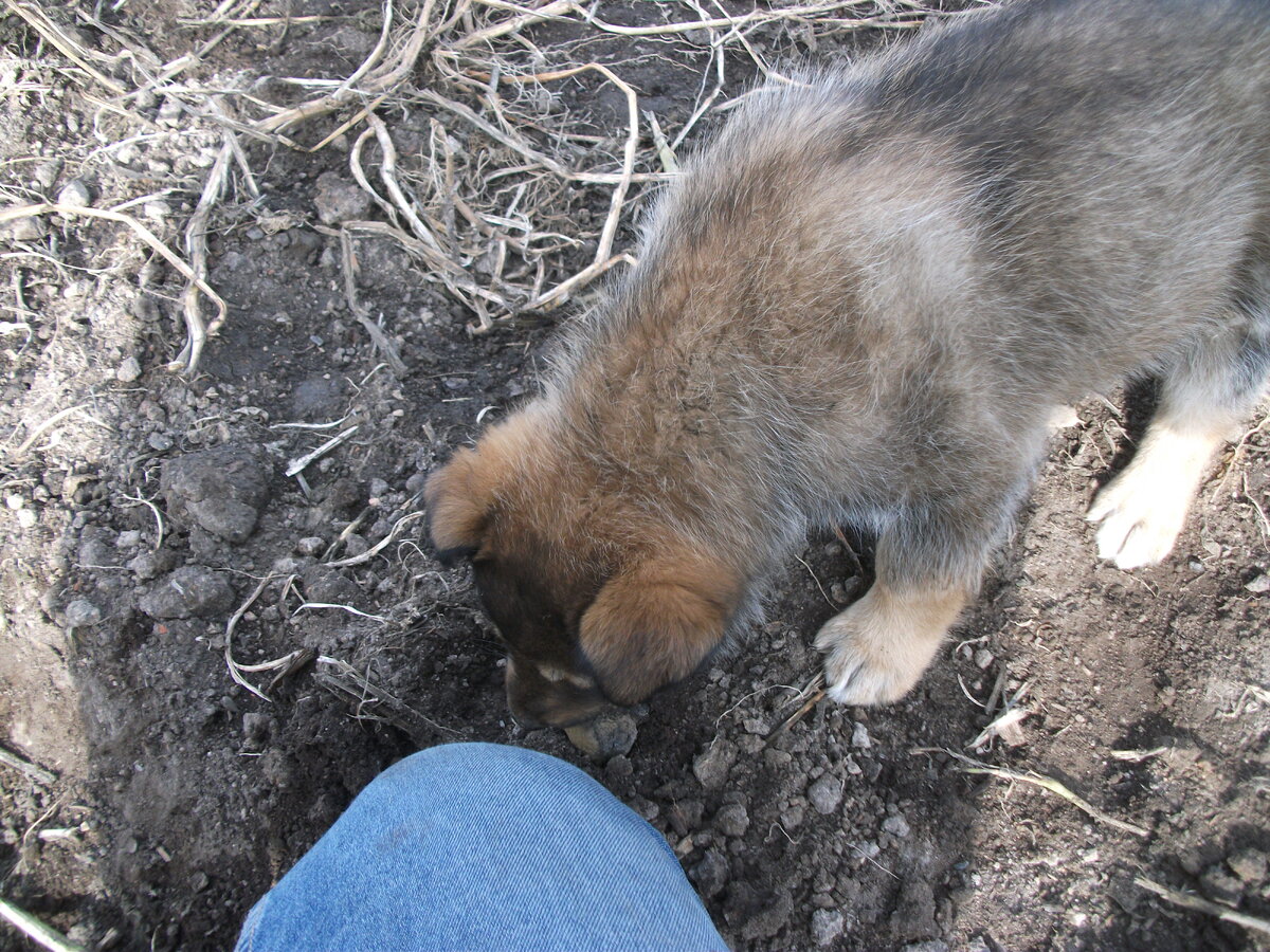 DSCF1315.JPG