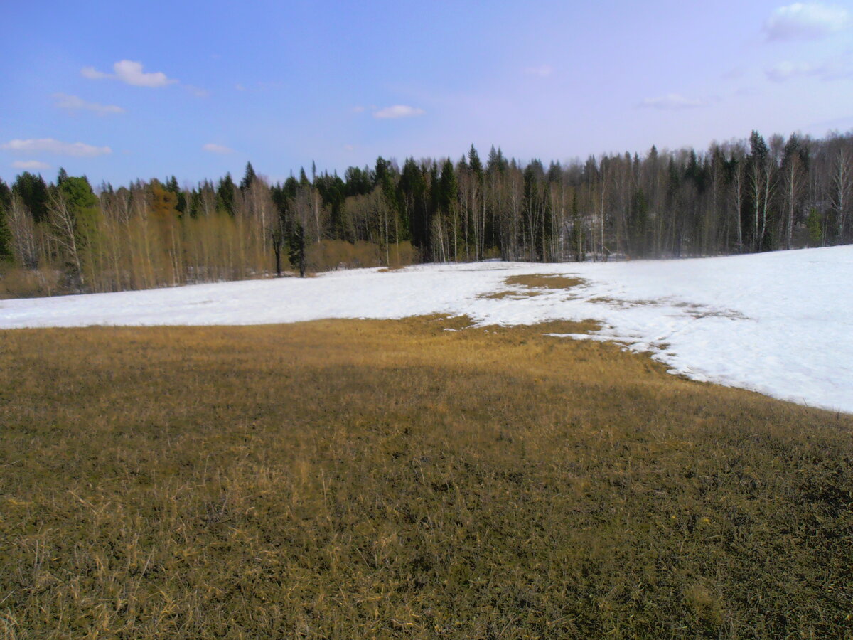 P4190078.JPG