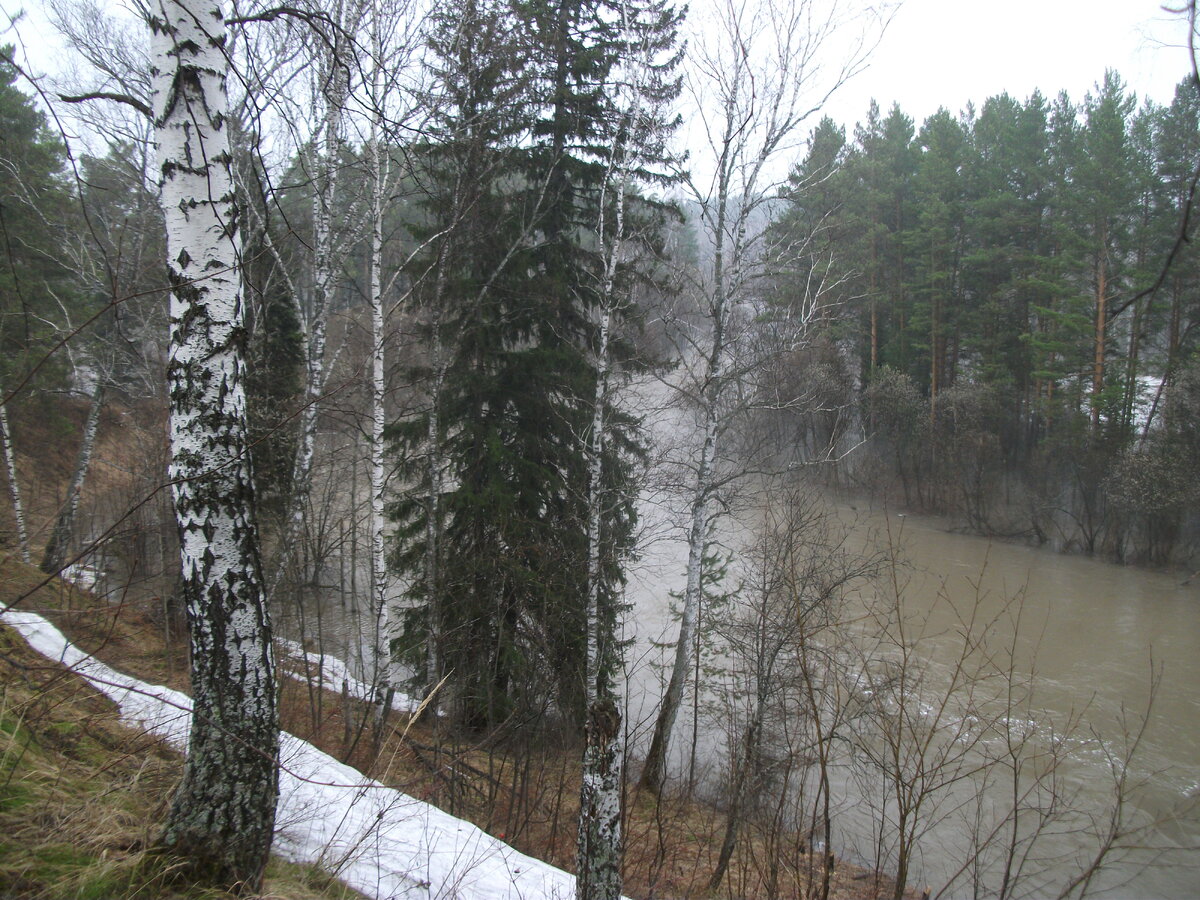 DSCF4902.JPG