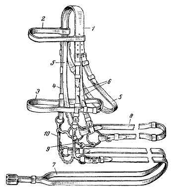 ris46.gif
