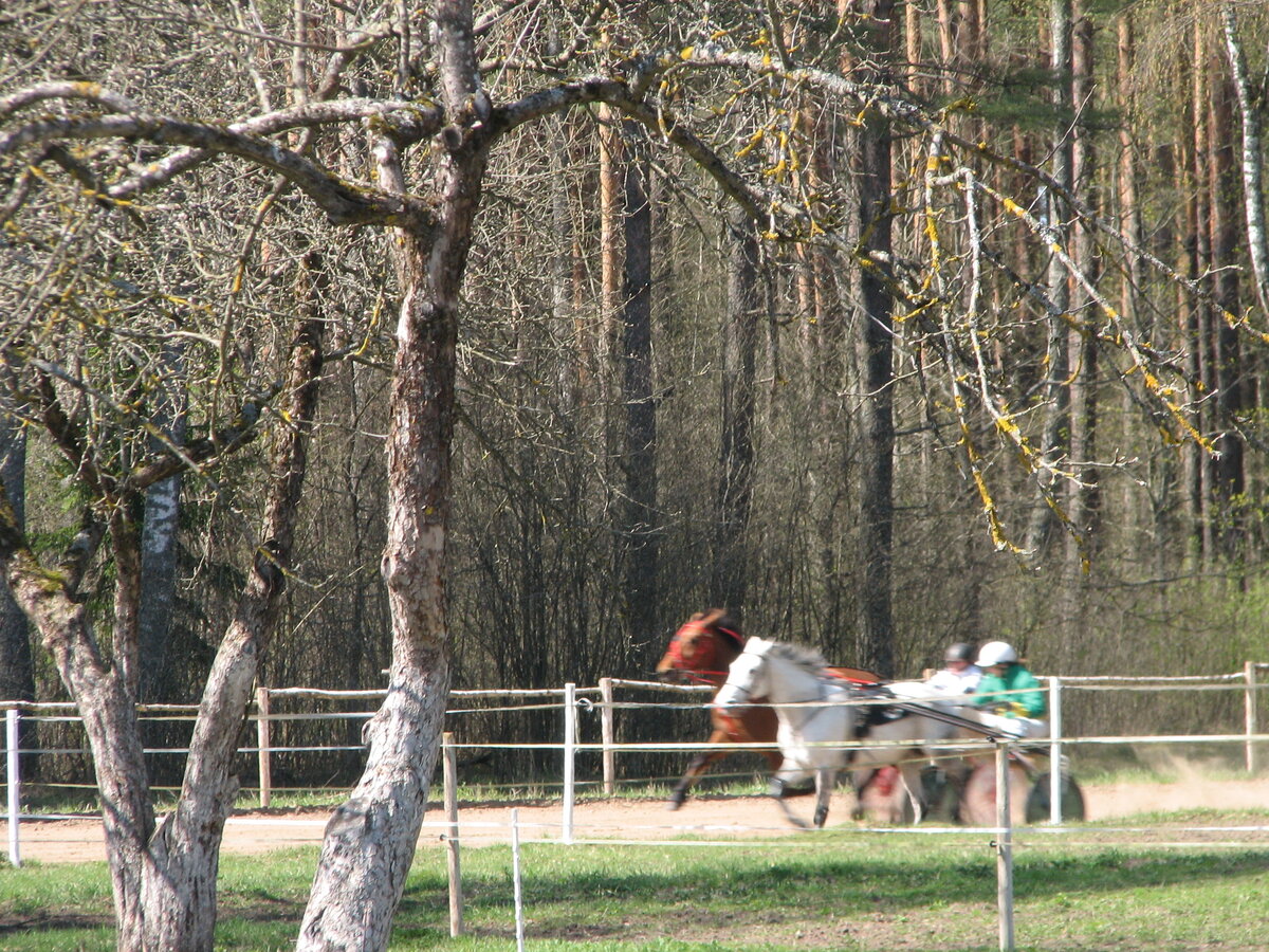 IMG_0054.JPG