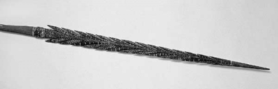 arms_and_armour_-_oceania_20101126_1592785724.jpg