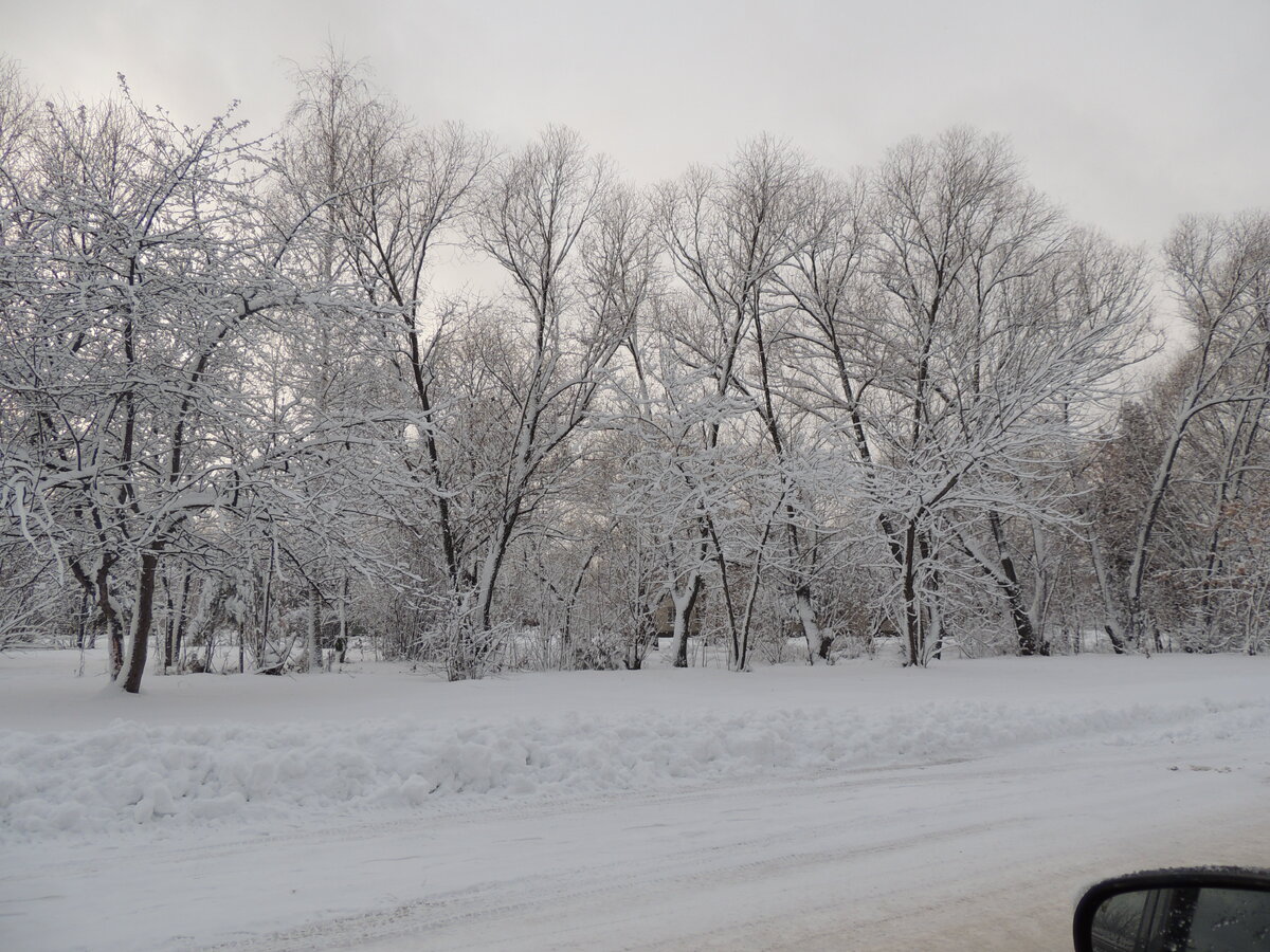 DSCN1259.JPG