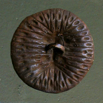 Arusa Lion Shield back.jpg