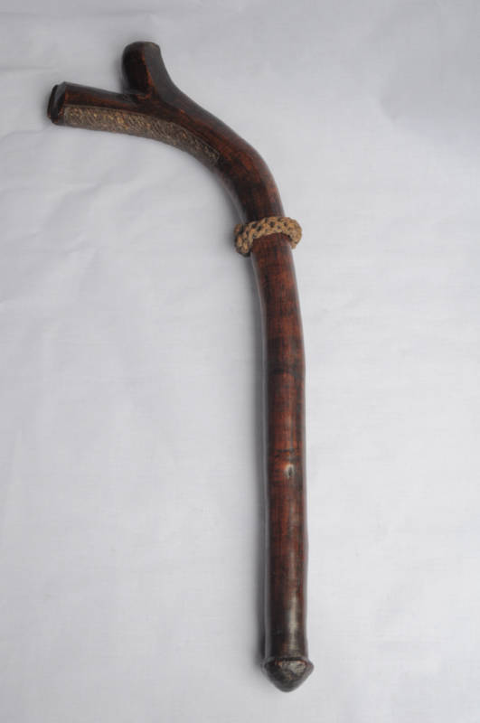 fiji club with ring.jpg
