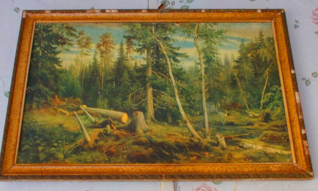 RSCN5966.JPG