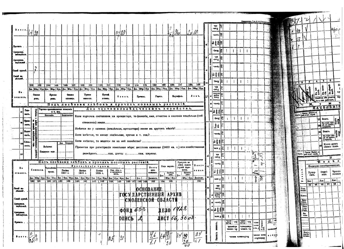Ф. Р-653, оп.2, д. 1728, л.56об..jpg