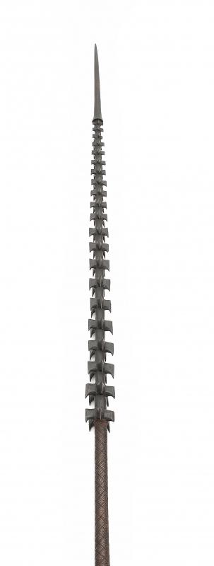 Z-3954_web01.jpg