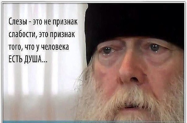 123931331_oYfwfca_390__1_.jpg