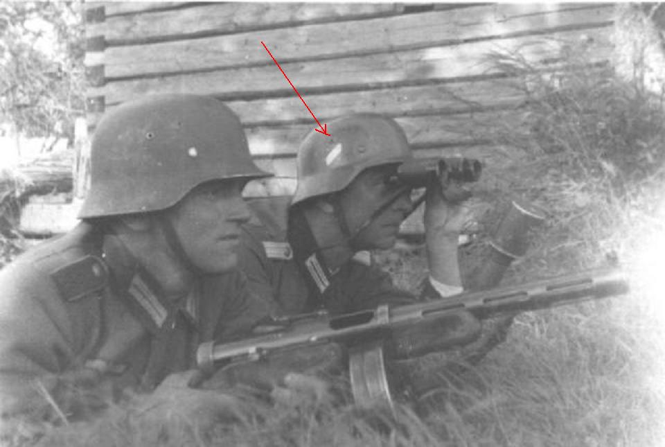 pp1.jpg