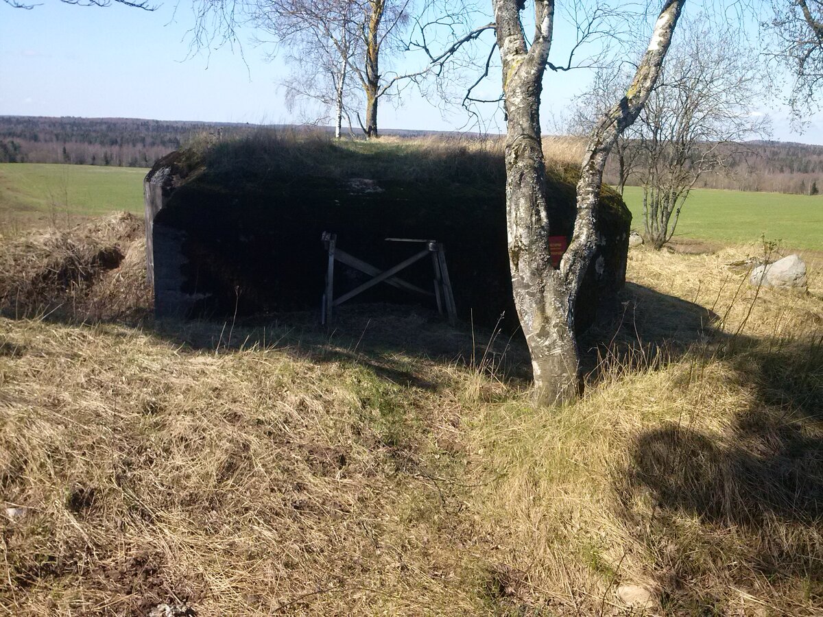 CAM00039.jpg