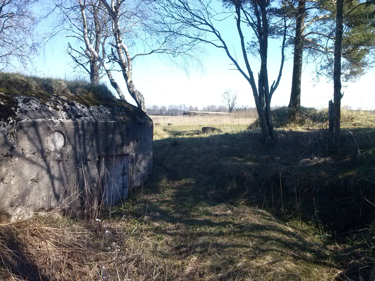 CAM00044.jpg