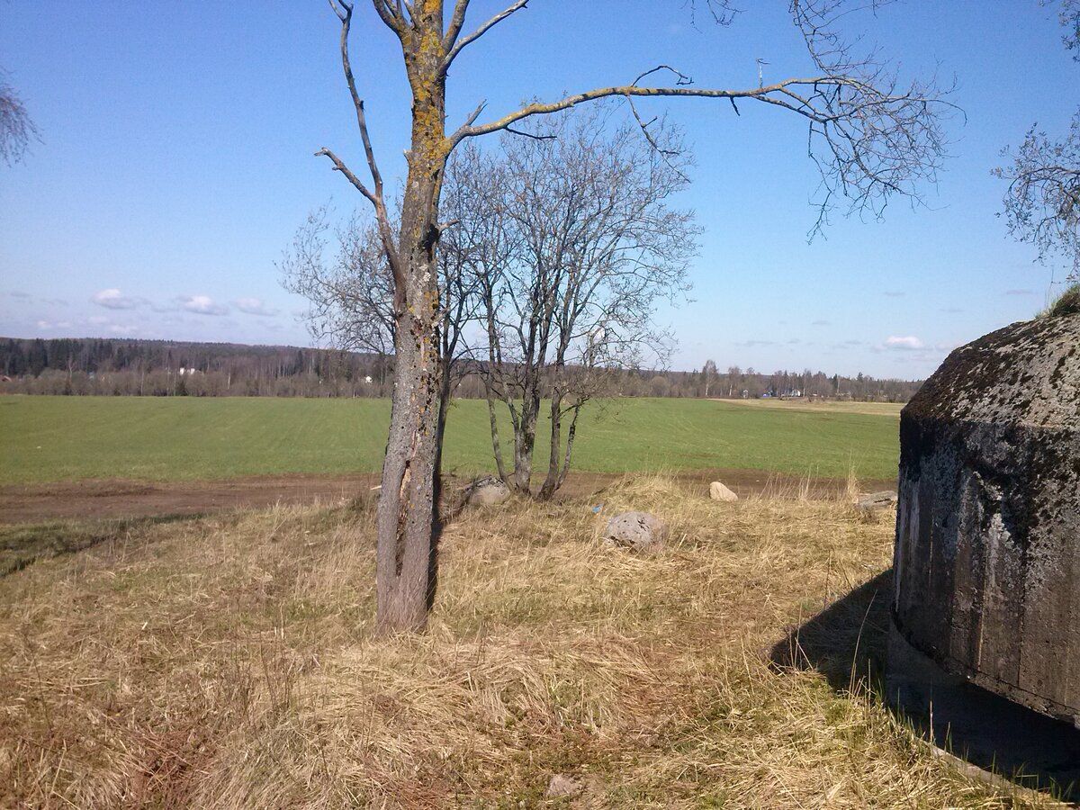 CAM00045.jpg