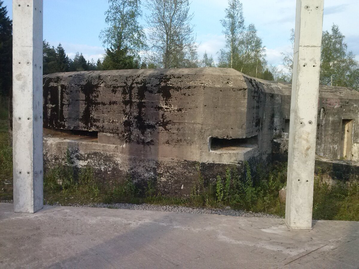 CAM00080.jpg