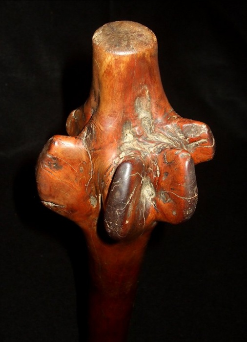 1146-979.jpg