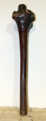 wp8fa1bcd6_05_06.jpg