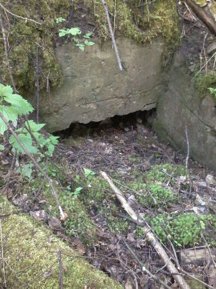 20160521_073723.jpg