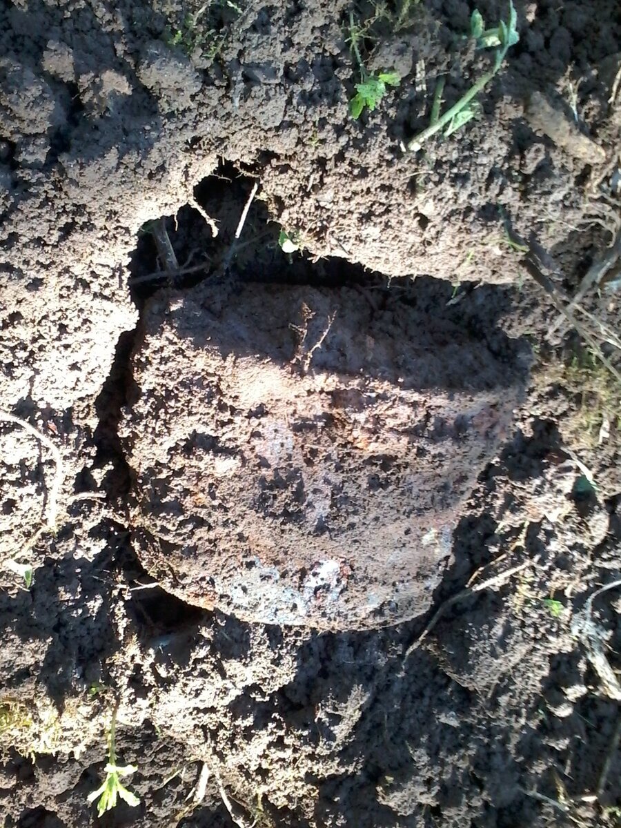 20160521_083205.jpg