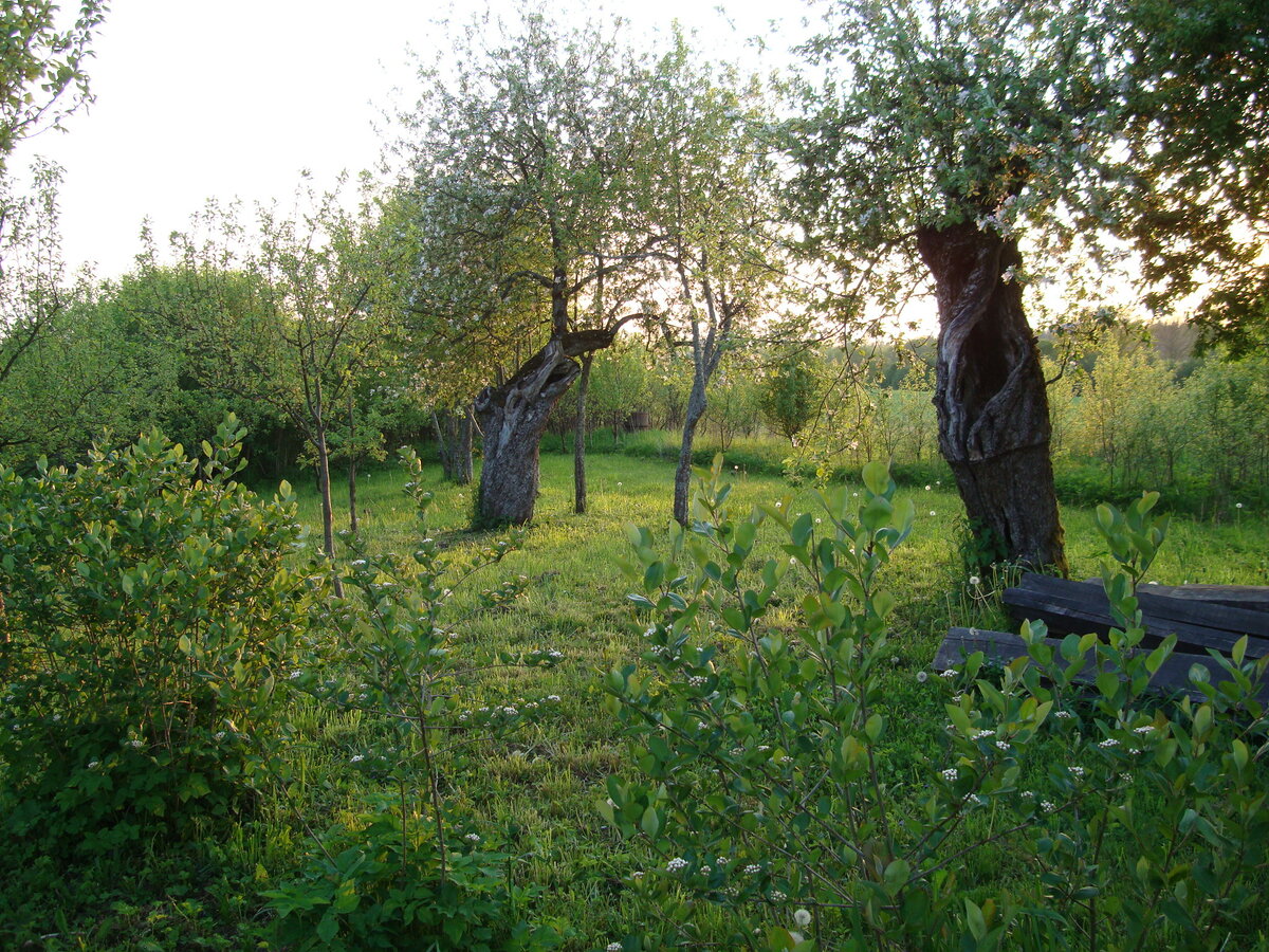 DSC07900.JPG