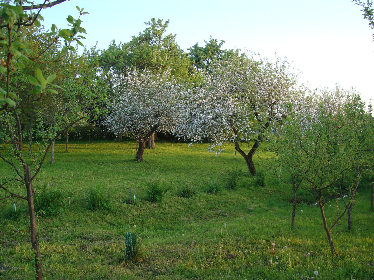 DSC07901.JPG