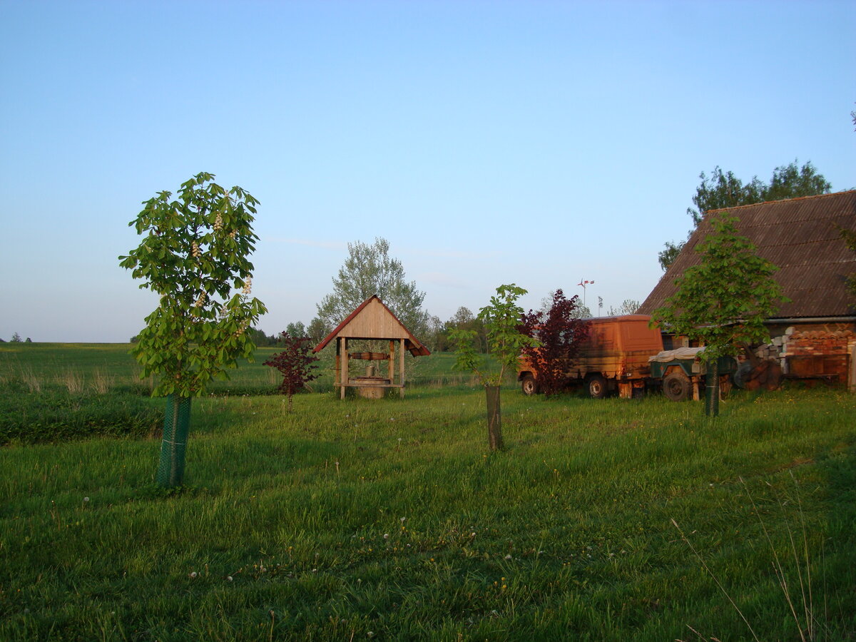 DSC07902.JPG