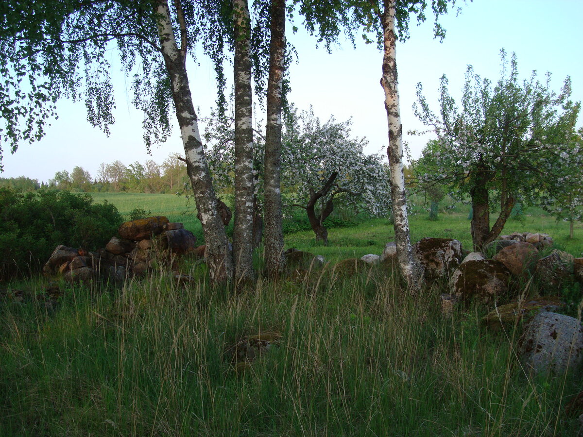 DSC07909.JPG