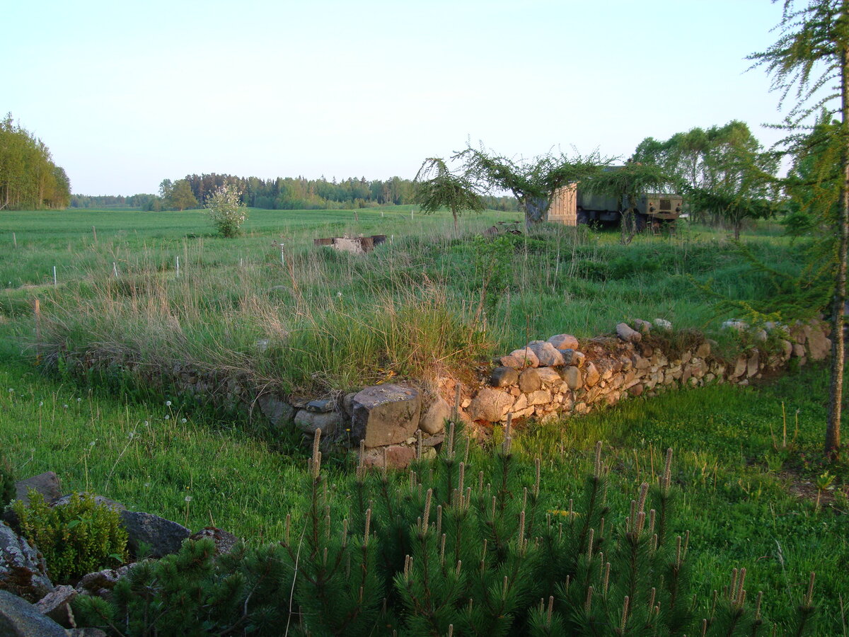 DSC07910.JPG