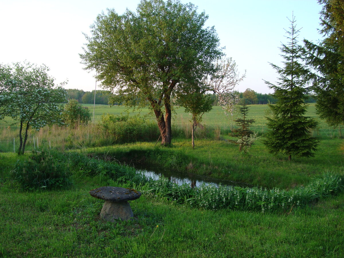 DSC07911.JPG
