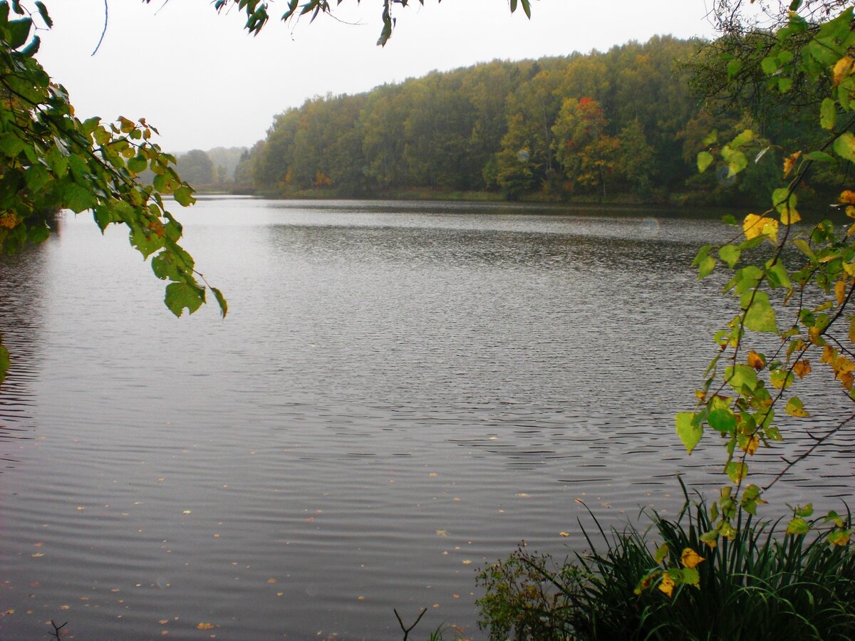 CIMG0067.JPG